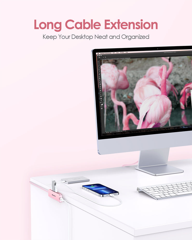 LENTION USB C to USB C Hub with 4 USBC Port & Type C Power Supply Port (CE31)