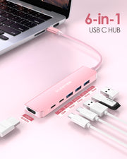 LENTION USB C Hub, 6 in 1 USB C (CB-CE35s)